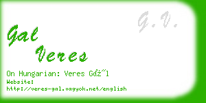 gal veres business card